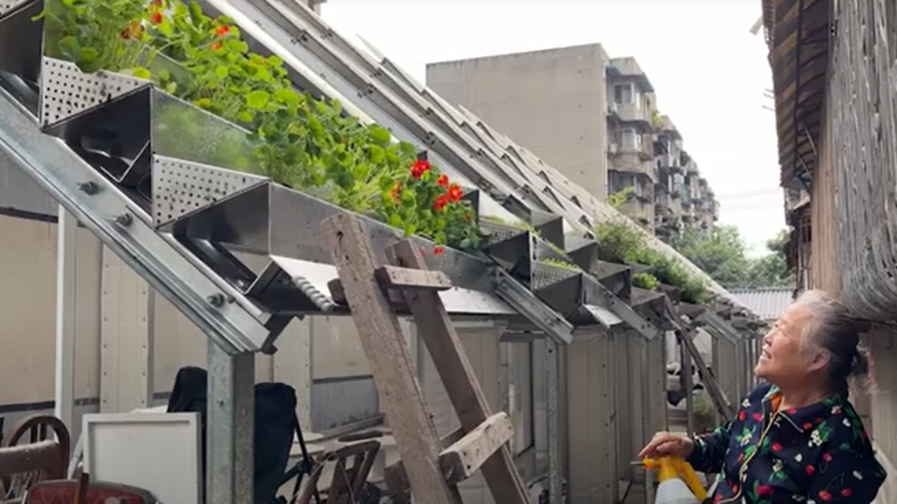 Een oudere vrouw staat bij een verticale tuin, die wordt ondersteund door metalen structuren die aan een schuin dak zijn bevestigd. De tuin heeft groene planten met wat bloemen. Ze houdt een spuitfles vast en kijkt omhoog naar de planten. Op de achtergrond staan stedelijke gebouwen.