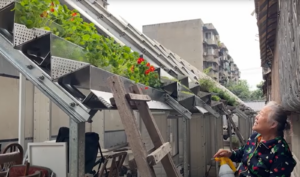 Een oudere vrouw staat bij een verticale tuin, die wordt ondersteund door metalen structuren die aan een schuin dak zijn bevestigd. De tuin heeft groene planten met wat bloemen. Ze houdt een spuitfles vast en kijkt omhoog naar de planten. Op de achtergrond staan stedelijke gebouwen.