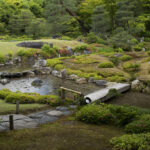 Een Japanse tuin met een kleine vijver, een stenen pad, een houten brug, groene struiken en bomen op de achtergrond in natuurlijk daglicht. Mutin-an tuin