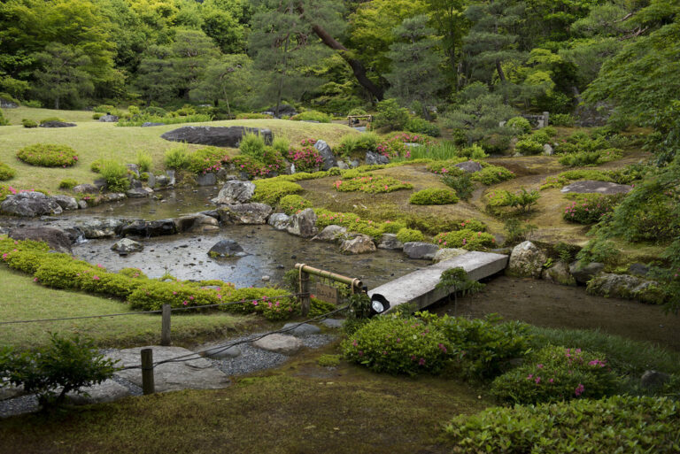 Een Japanse tuin met een kleine vijver, een stenen pad, een houten brug, groene struiken en bomen op de achtergrond in natuurlijk daglicht. Mutin-an tuin